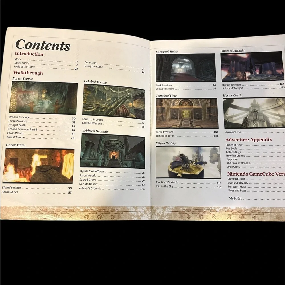 Nintendo Twilight Princess Player's Guide - Red and Gray